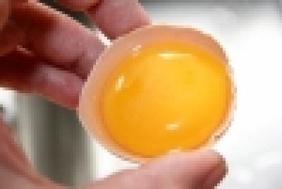 Egg Yolk